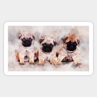 Pug Puppies. Dog Watercolor Portrait 01 Magnet